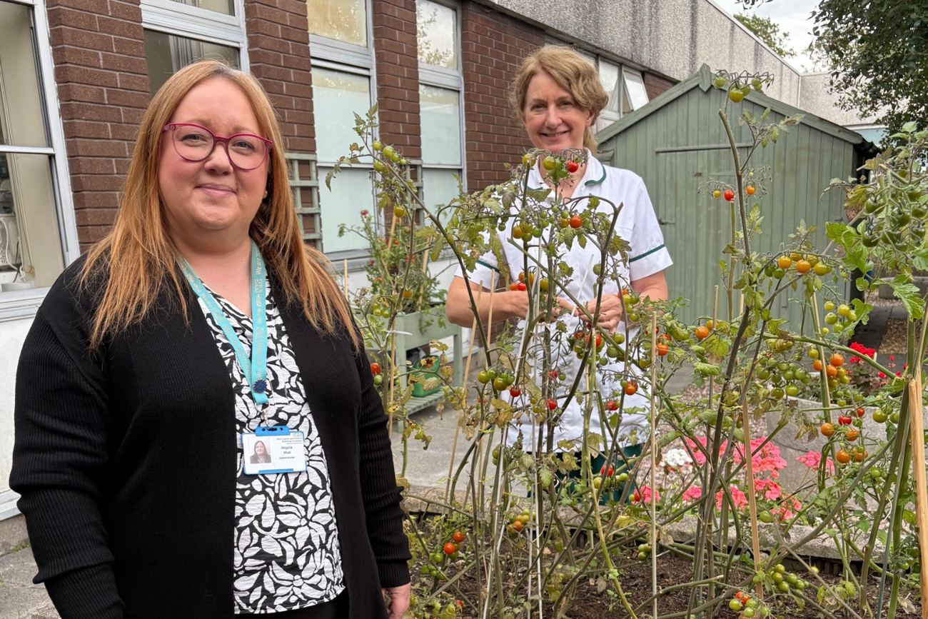 Staff with tomato plant grown on site