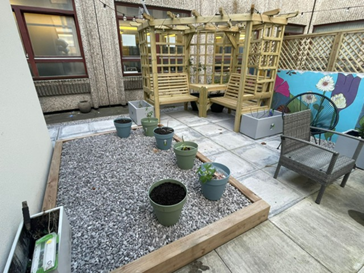 Radiology Garden